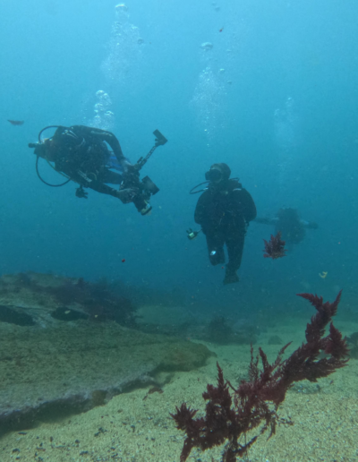 Wreck Carawa
