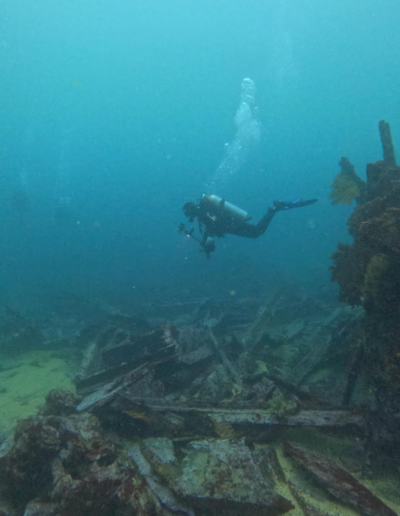 Wreck Carawa